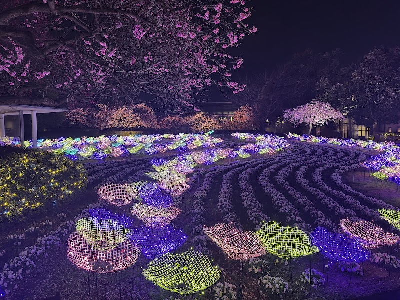Corridor of Light / Tunnel of Light - Corridor of Light / Tunnel of Light 漆畑-270 Nagashimachō Komae, Kuwana, Mie 511-1144, Japan