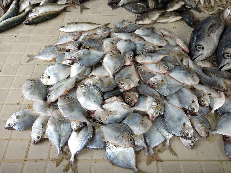 Muttathiparambu Market - Muttathiparambu Market, M958+3J5, Alappuzha, Keralam 688527, India