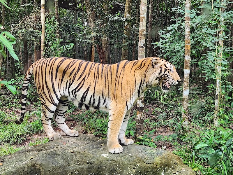 Vinpearl Safari Phú Quốc - Vinpearl Safari Phú Quốc Bãi Dài, Gành Dầu, Phú Quốc, An Giang 922200, Vietnam