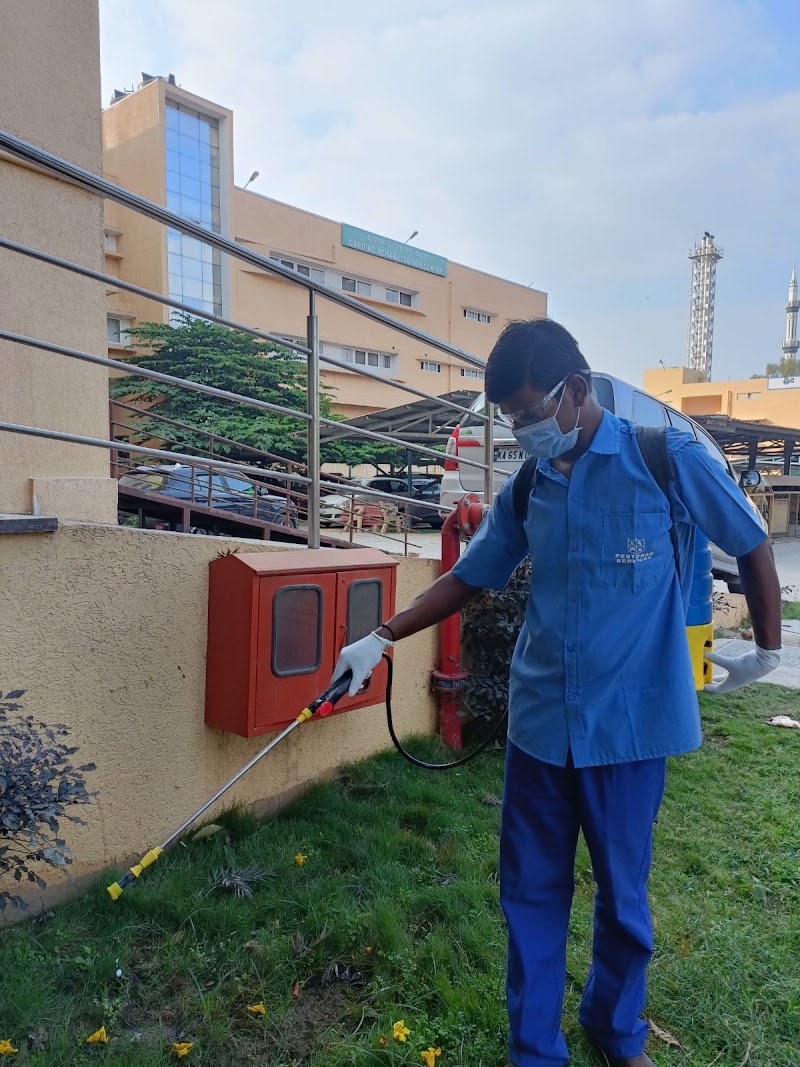 PESTERAD SERVICES - PESTERAD SERVICES, 1st Floor, Basco Court, F-5 & 6, Gandhi Bazaar Main Rd, Gandhi Bazaar, Basavanagudi, Bengaluru, Karnataka 560004, India