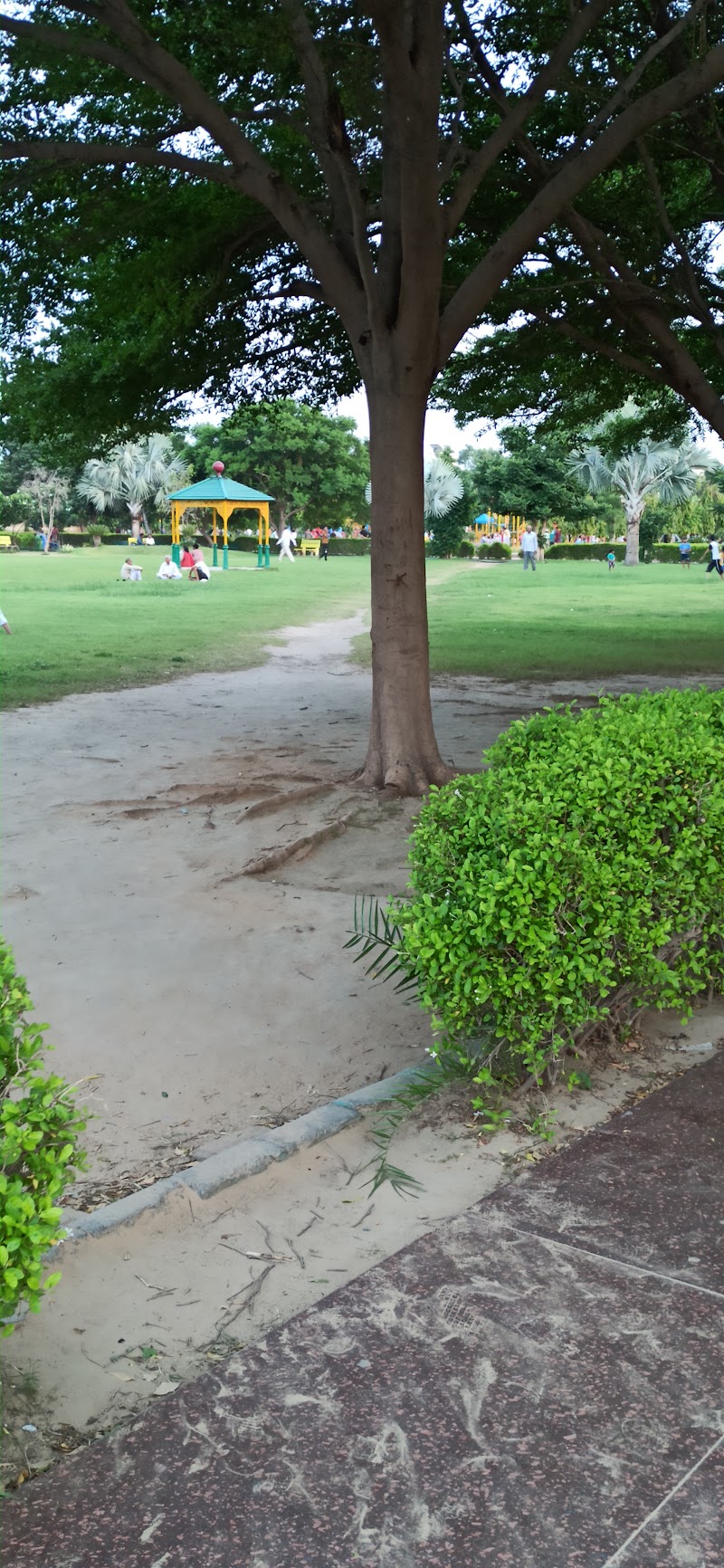 Nehru Park - Nehru Park D Rd, near Bawarchi Restaurant, Sindhi Colony, Sardarpura, Jodhpur, Rajasthan 342003, India