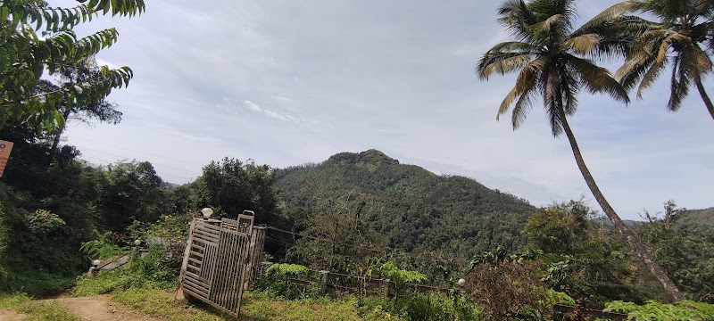 Anna Home Stay Anaviratty - Anna Home Stay Anaviratty 2X9V+5VF, Anaviratty, Kerala 685561, India
