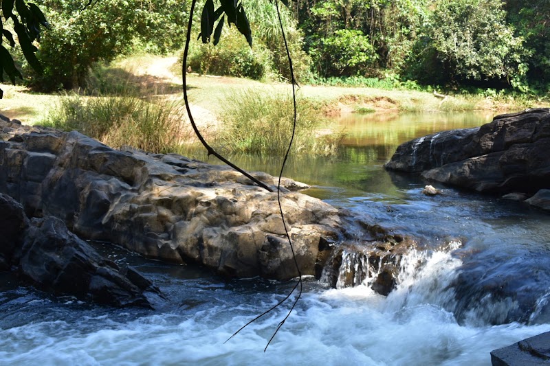 Mookanamane Abbi Falls - Mookanamane Abbi Falls QPMC+V4Q, Jedigadde, Karnataka 573123, India
