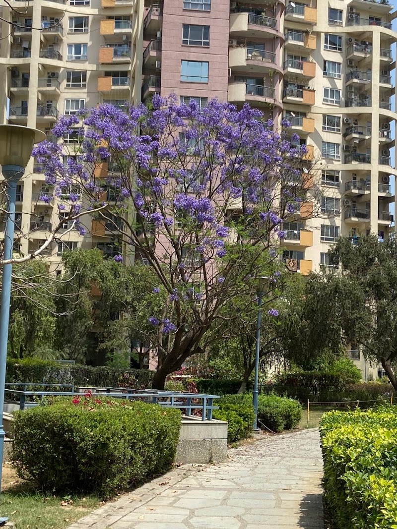 Sector 50 - Sector 50 Sector 50, Gurugram, Haryana, India