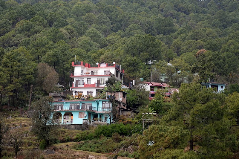 Hotel Whispering Pines - Hotel Whispering Pines, kalapul near forest rest house kalapul, cantt road, Dharamshala, Tahu, Himachal Pradesh 176215, India