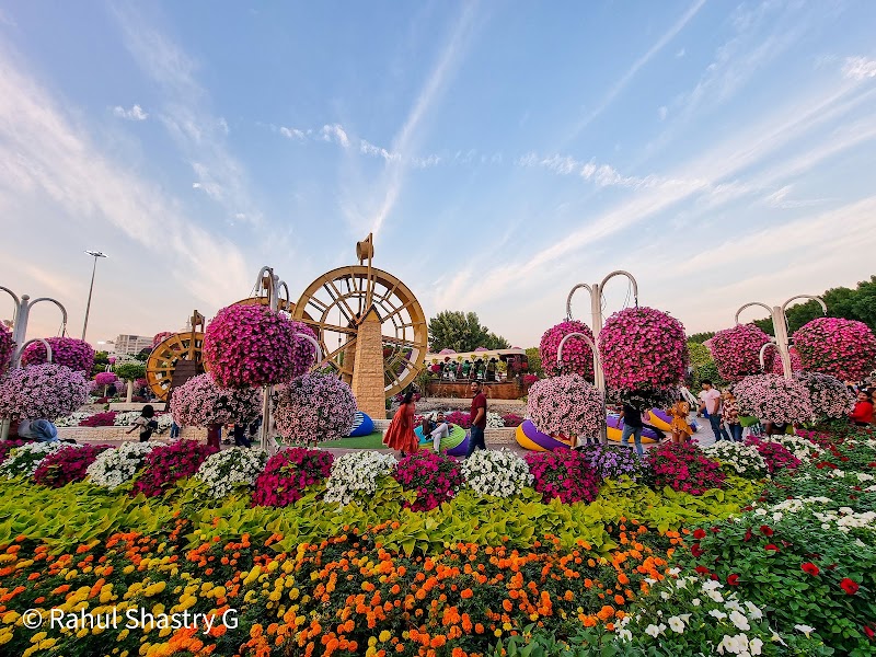 Dubai Miracle Garden - Dubai Miracle Garden Street 3 - Al Barsha South Third - Al Barsha South - Dubai - United Arab Emirates