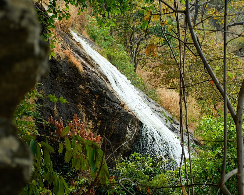 Gandhamardhan hills - Gandhamardhan hills, Odisha 768039, India