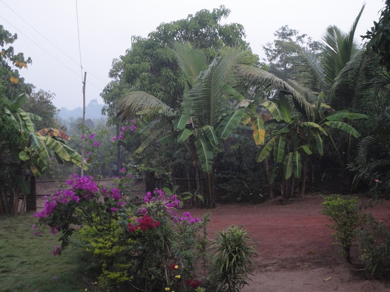 Dhuri Homestay - Dhuri Homestay, VMWH+FM2, Bowlekar wadi, Math, Maharashtra 416516, India