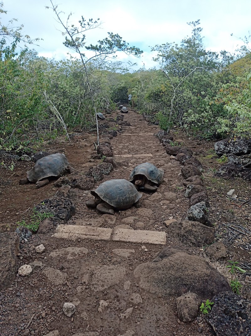 Puerto Chino - Puerto Chino, Isla de San Cristóbal, 3HFC+J46, San Cristóbal, Ecuador