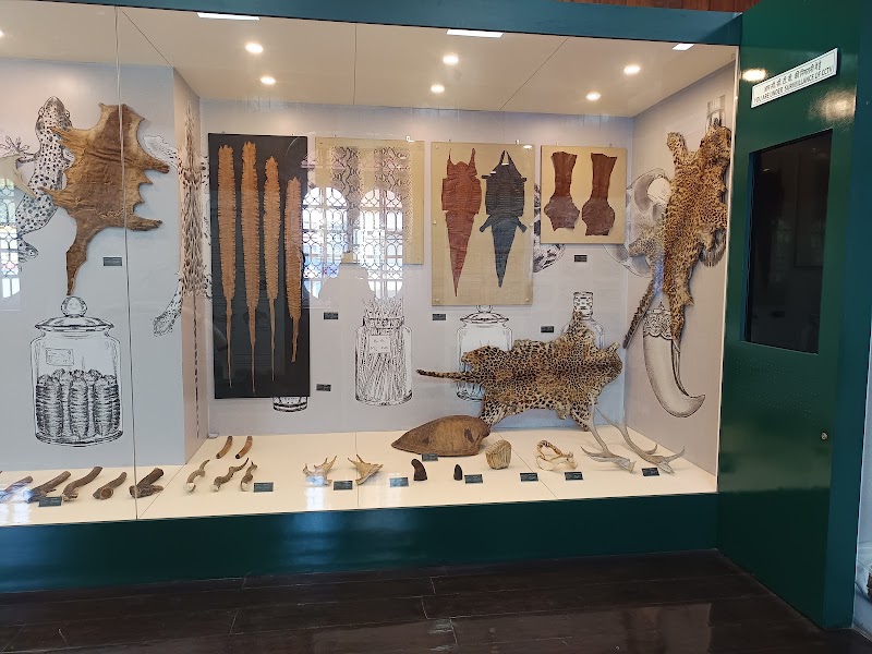 Dharohar : National Museum of Customs and GST - Dharohar : National Museum of Customs and GST Captain & Port, Avenida Dom João de Castro, opp. Jetty, Ozari, Panaji, Goa 403001, India