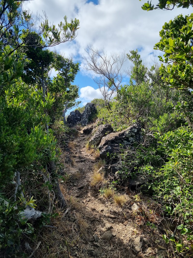 Malabar Hill - Malabar Hill, Lord Howe Island NSW 2898, Australia