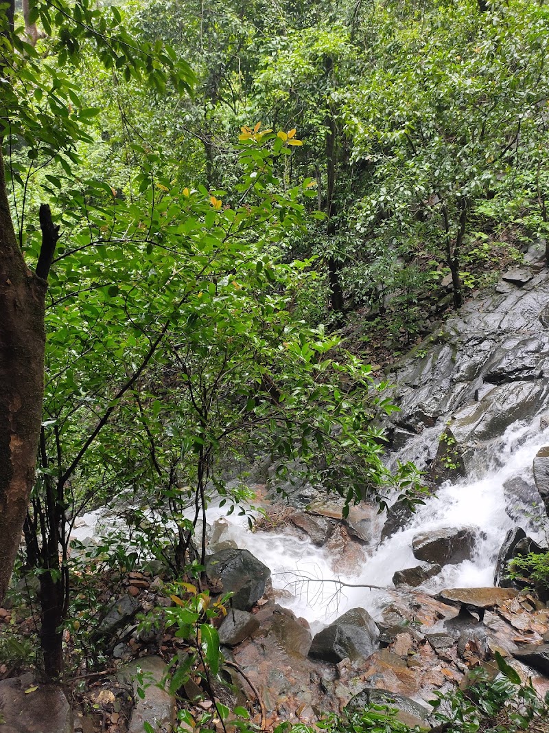 Kuske Waterfall - Kuske Waterfall 26C5+MFM, Cotigao, Goa 403702, India