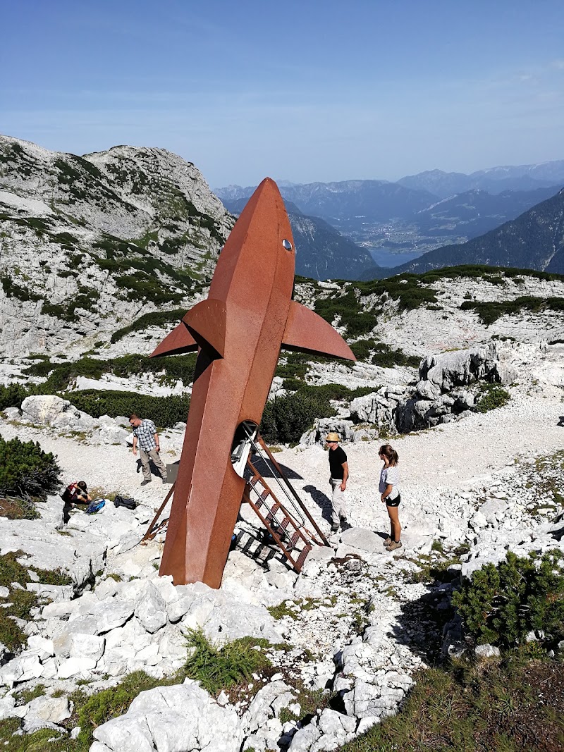 Dachstein Shark - Dachstein Shark, Winkl 34, 4831 Obertraun, Austria