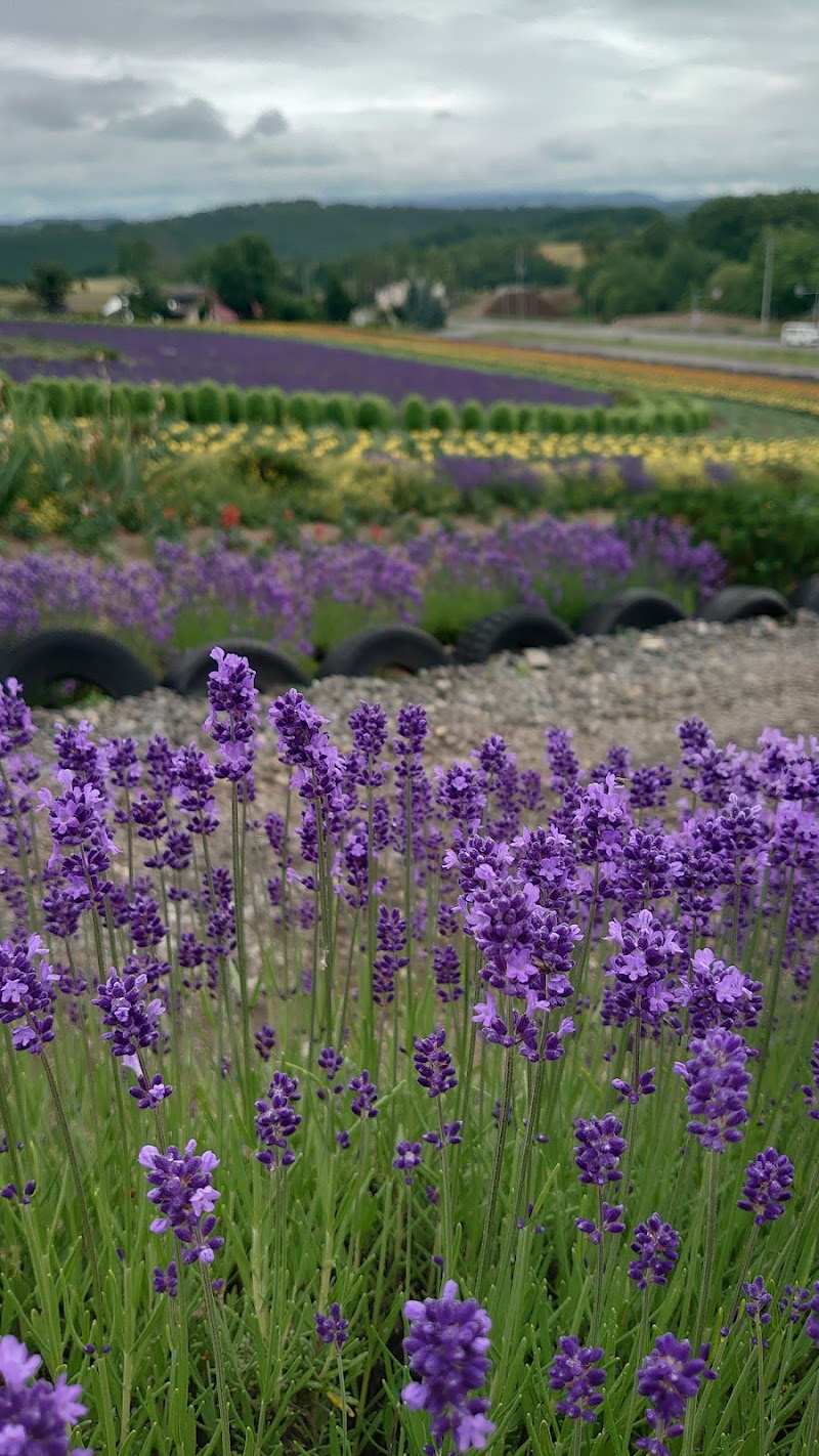 Zerubu Hill - Zerubu Hill Japan, 〒071-0200 北海道上川郡美瑛町大三