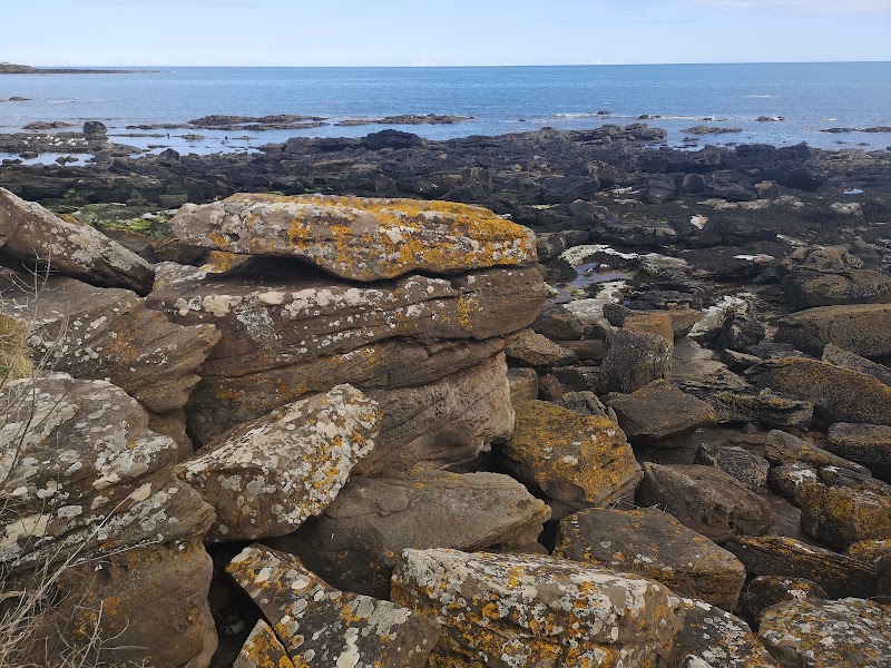 Crail Harbour - Crail Harbour, Crail, Anstruther KY10 3SU, UK