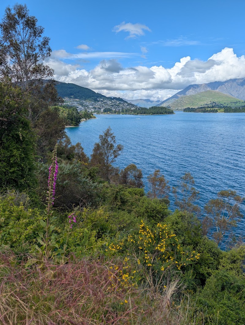Sunshine Bay Track - Sunshine Bay Track, 28 Evergreen Place, Sunshine Bay, Queenstown 9300, New Zealand