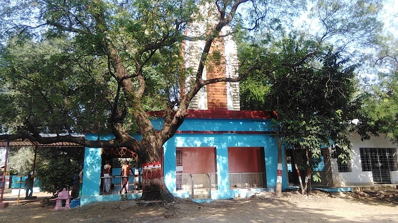 Muni - Muni, 74PW+XQ7, Bhagban Sahu Colony, Hatpada Para, Titilagarh, Odisha 767033, India