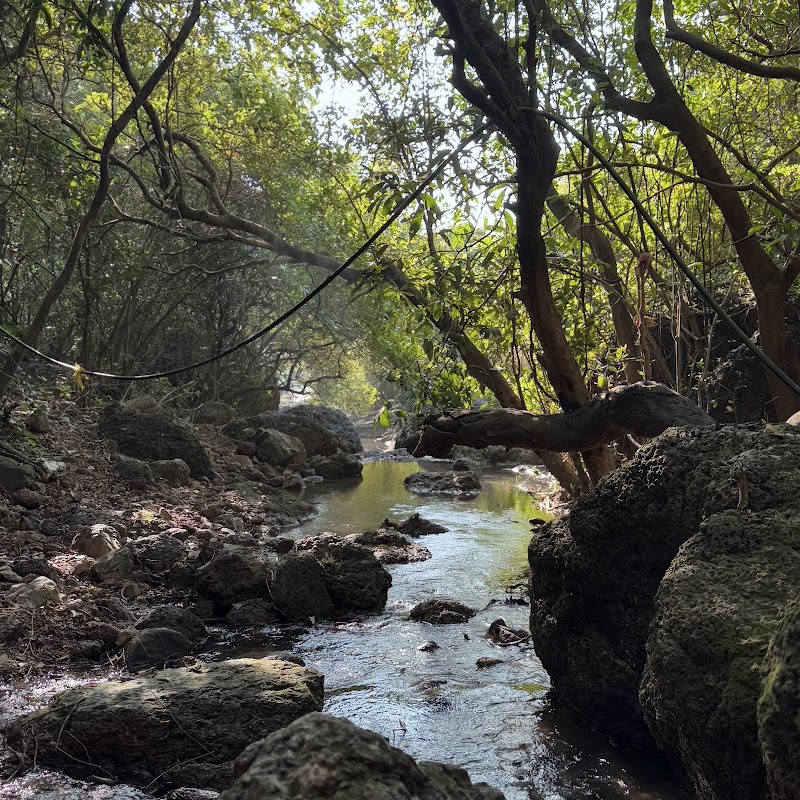 Sweet Lake - Sweet Lake Arambol, Goa 403524, India