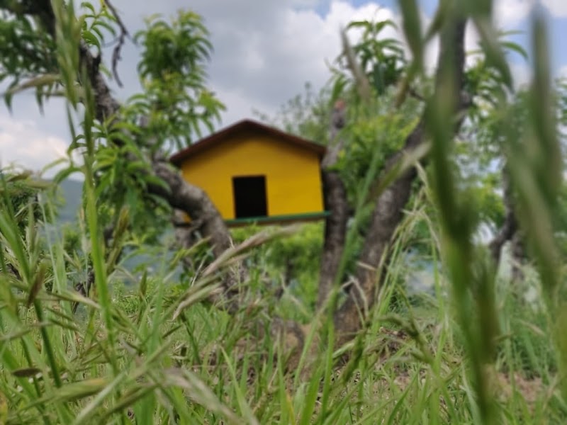 Enchanted Hills Farmstay - Enchanted Hills Farmstay, near, Bhatelia-Mukteshwar Rd, Mukteshwar, South Gola Range, Uttarakhand 263138, India
