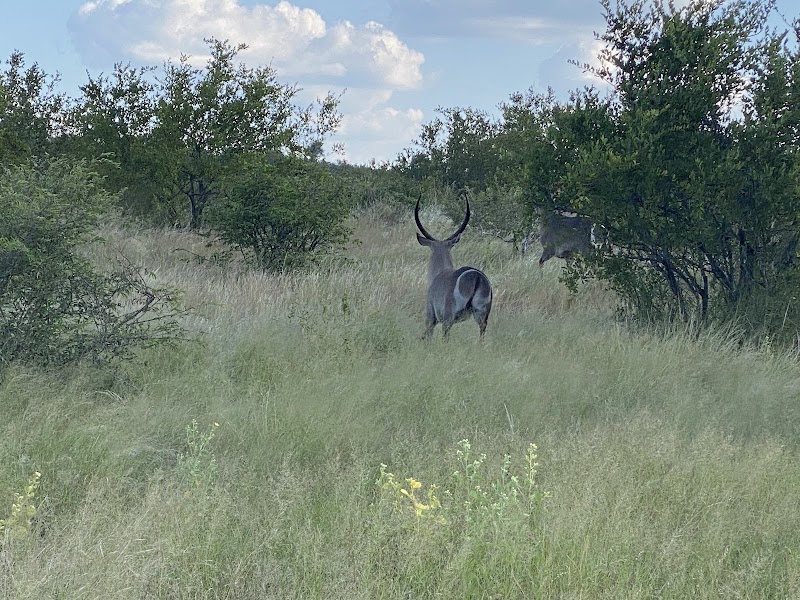 Klaserie Private Nature Reserve - Klaserie Private Nature Reserve, Hoedspruit, 1380, South Africa