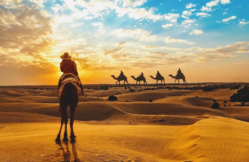 Jaisalmer heritage desert safari - Jaisalmer heritage desert safari, Near, Gadisar Rd, near namaste, Dhibba Para, old city, Jaisalmer, Jaisalmer Muncipal Area, Rajasthan 345001, India