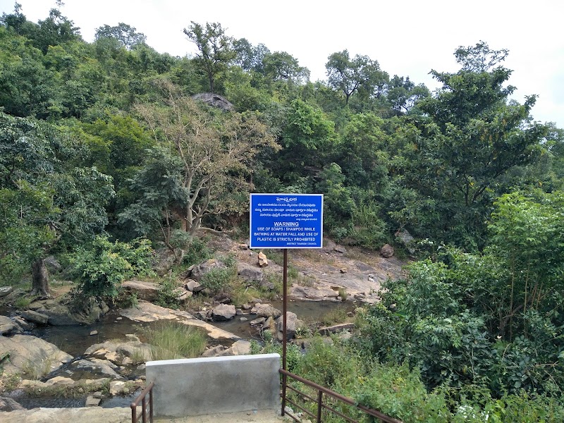 Ananthagiri Water Falls - Ananthagiri Water Falls, 62G5+99J, Road, Ananthagiri, Andhra Pradesh 535145, India