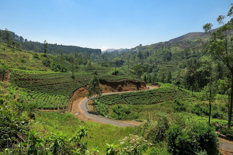 Ella - Ella Wellawaya-Ella-Kumbalwela Highway, Ella, Sri Lanka