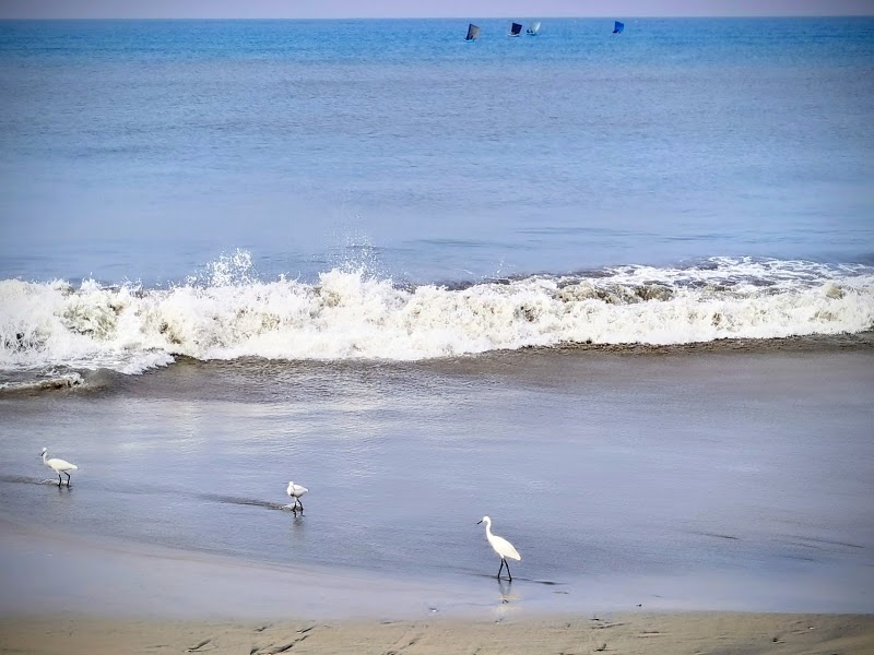 Mughadar Beach - Mughadar Beach, 6QPG+W76, Thekepuram, Kuttichira, Kozhikode, Kerala 673001, India