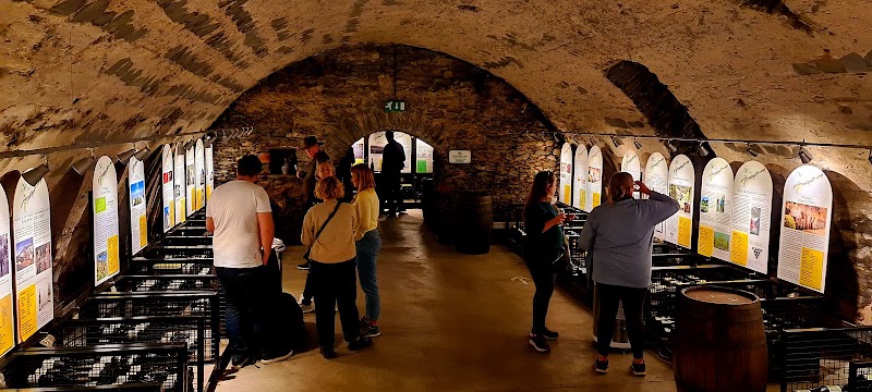 Mosel Wine museum and wine shop - Mosel Wine museum and wine shop, Cusanusstraße 2, 54470 Bernkastel-Kues, Germany