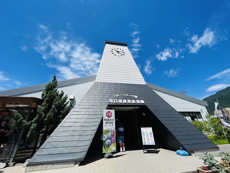 Oishi Park - Oishi Park ２５２５番地の１１先 Ōishi, Fujikawaguchiko, Minamitsuru District, Yamanashi 401-0305, Japan