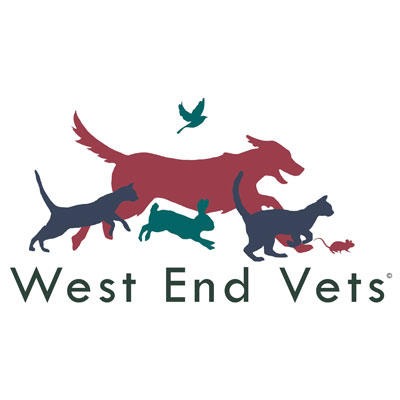 West End Vets - Tollcross - West End Vets - Tollcross 12 Bread St, Edinburgh EH3 9AF, UK