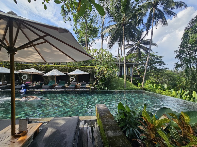Infinity forest pool - Infinity forest pool, F7PH+3CW, Peliatan, Ubud, Gianyar Regency, Bali 80552, Indonesia