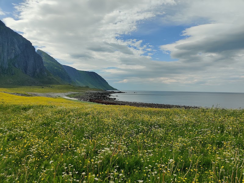 Eggum Rasteplass - Eggum Rasteplass, Eggumsveien, 8360 Bøstad, Norway