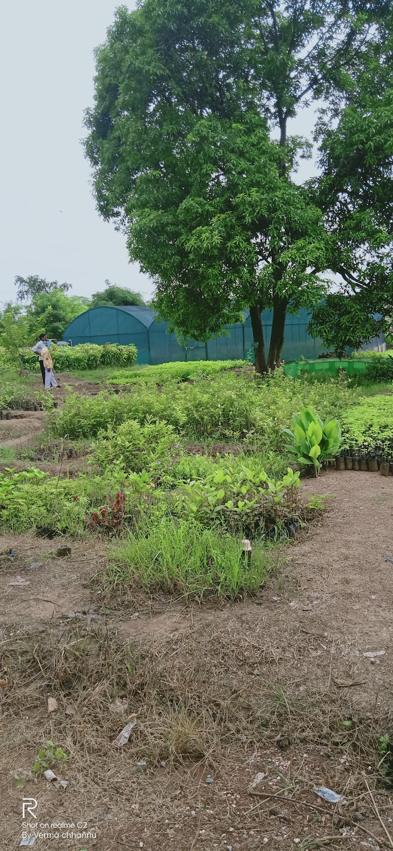 Sanjay Gandhi Nursery - Sanjay Gandhi Nursery, Andhiyarkhor, Chhattisgarh 491335, India