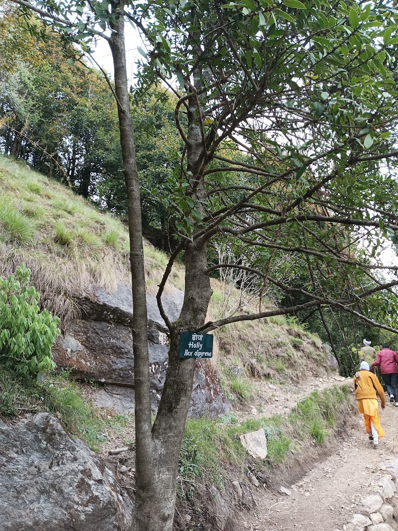Maheswar Kund - Maheswar Kund, 36JH+36M, Munsyari, Uttarakhand 262554, India