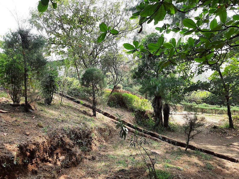 Mandrem garden - Mandrem garden 123, Querim–Arambol–Agarwada Rd, Junos Vaddo, Mandrem, Goa 403527, India