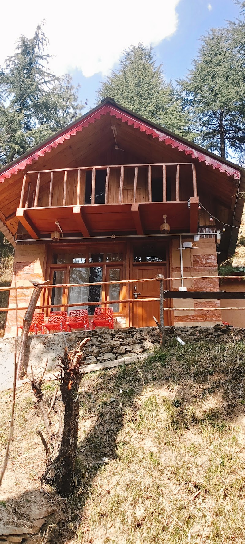 Jibhi Alpine heaven forest view - Jibhi Alpine heaven forest view p/o, Jibhi, Tandi, Himachal Pradesh 175123, India