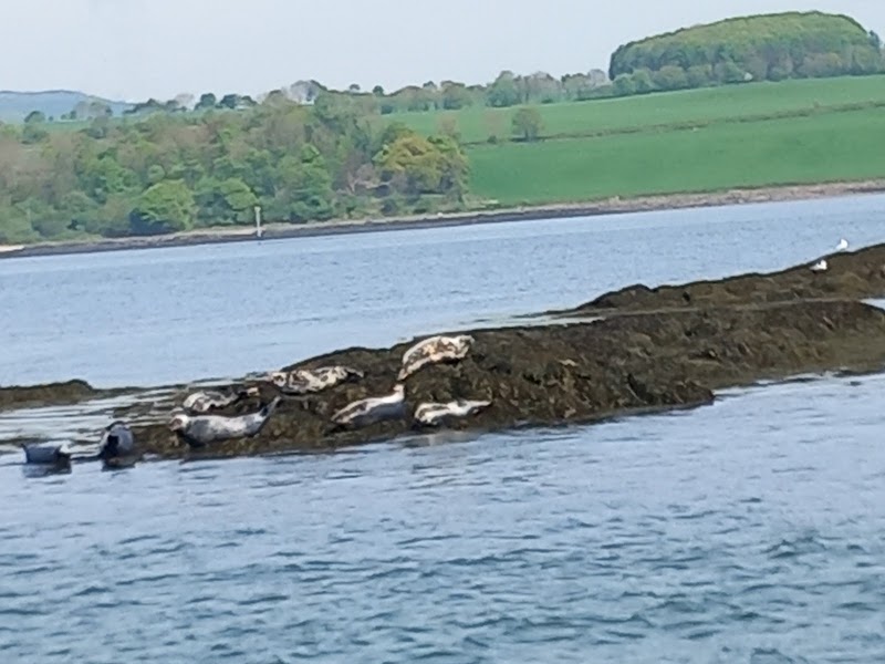 Forth Bridges Tours - Forth Bridges Tours, 6b Newhalls Rd, Queensferry, South Queensferry EH30 9TA, UK
