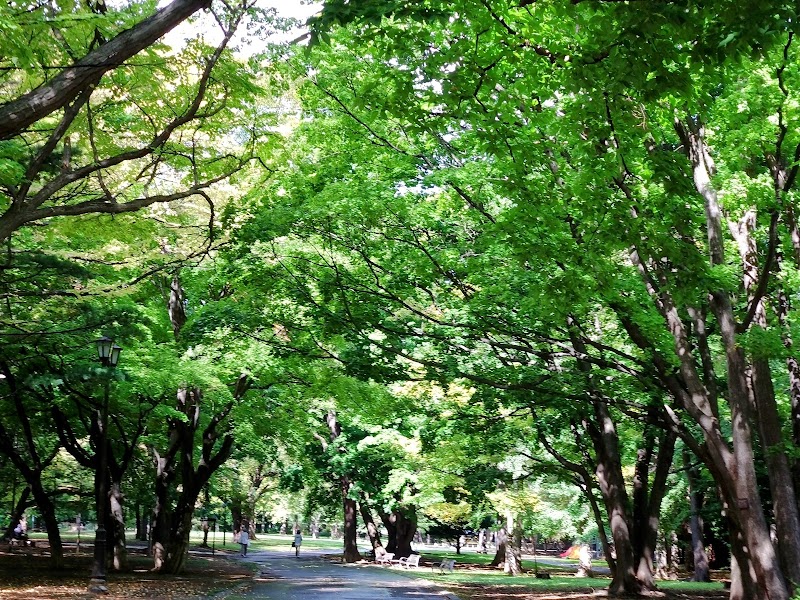 Maruyama Park - Maruyama Park, Japan, 〒064-0959 北海道札幌市中央区宮ケ丘３