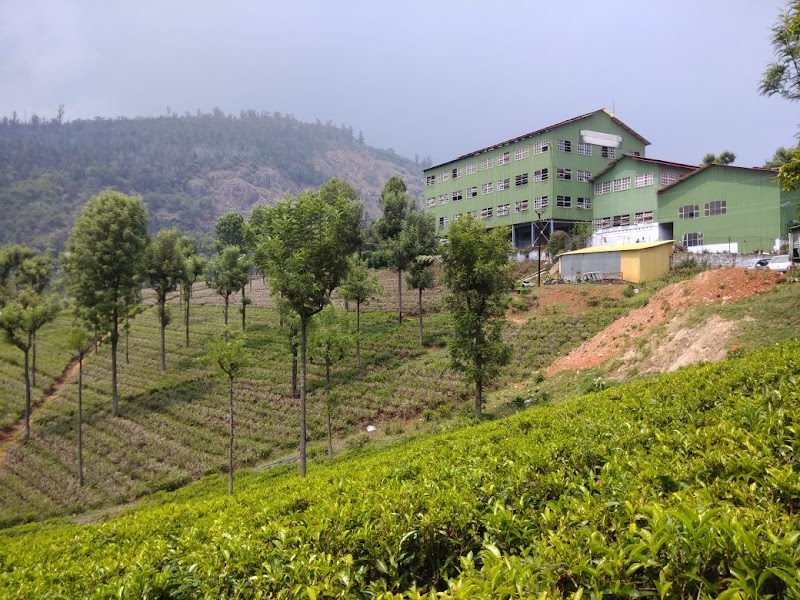 Coonoor Estates - Coonoor Estates C/O Matheson, Bosanquet Enterprises Pvt LTD, Bandishola, Coonoor, Tamil Nadu 643103, India