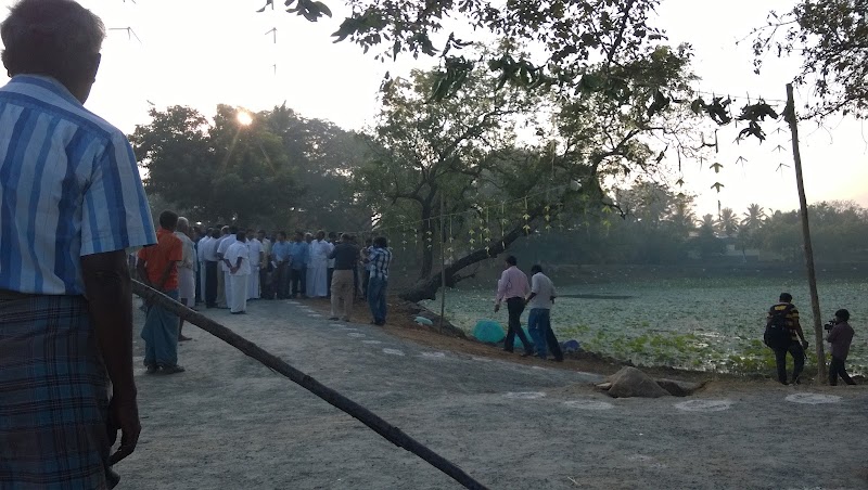 Lotus Pond - Lotus Pond Lotus Pond, Selvam Nagar, Pallikaranai, Chennai, Tamil Nadu 600100