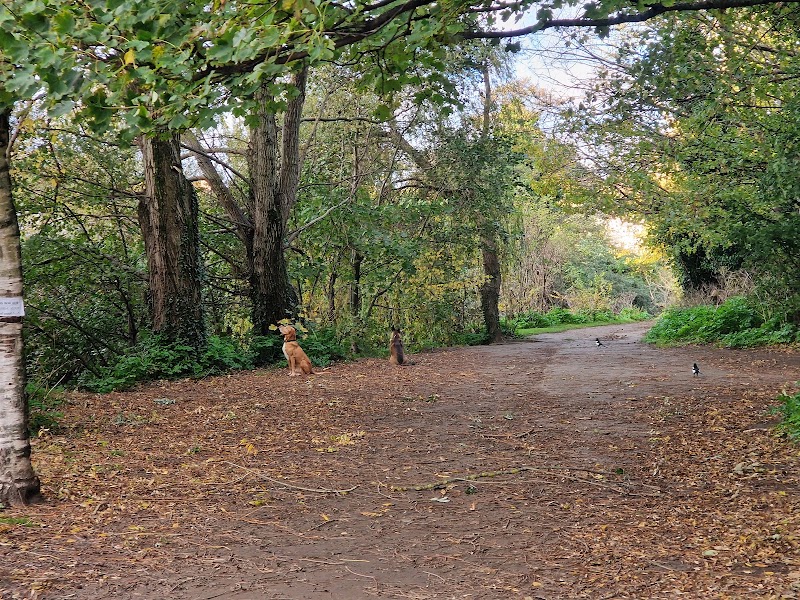 Dartry Park - Dartry Park 54 14 Orwell Gardens, Rathmines Great, Dublin, D14 PT93, Ireland