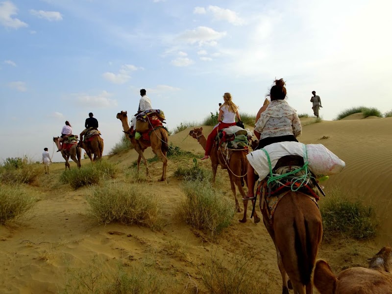 Open Road Hostel and Cafe - Open Road Hostel and Cafe, Fort road, Shiv Rd, near Shiva temple, Dhibba Para, Sadar Bazar, Jaisalmer, Rajasthan 345001, India