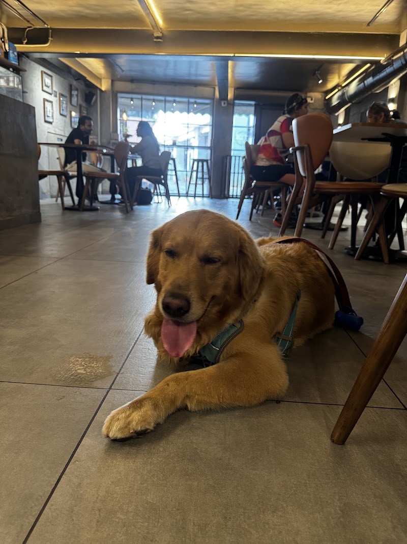 Zane's Cafe & Bar - Zane's Cafe & Bar, Todi Mill Compound, Senapati Bapat Marg, opposite Ideal Industrial Estate, Railway Colony, Lower Parel, Mumbai, Maharashtra 400013, India