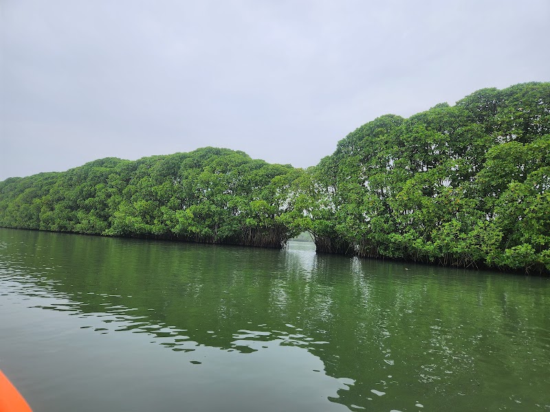 Mangrove Meadows and Adventures Paravoor Kollam - Mangrove Meadows and Adventures Paravoor Kollam RMM9+3P, Paravur, Kerala 691301, India