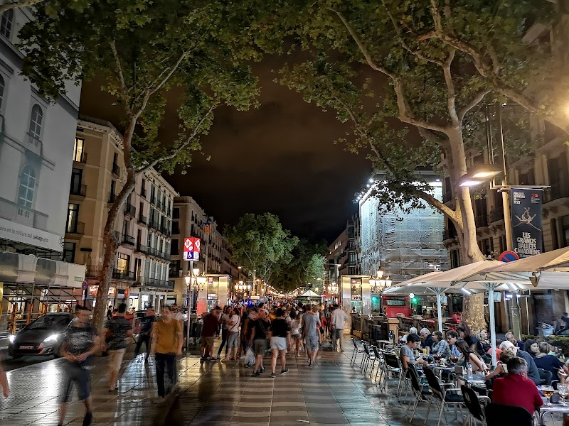 Sagrada Familia Guided Tour & Barcelona Old Town - Sagrada Familia Guided Tour & Barcelona Old Town Pl. de Catalunya, 9, Eixample, 08002 Barcelona, Spain