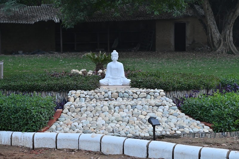 The Oakwood Nidhivan Farm by Videek Party Place - The Oakwood Nidhivan Farm by Videek Party Place 8V5M+WWJ, Panchgaon, Binola, Haryana 122413, India