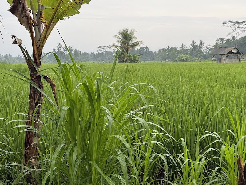 Pejeng Kangin - Pejeng Kangin, Tampaksiring, Gianyar Regency, Bali, Indonesia
