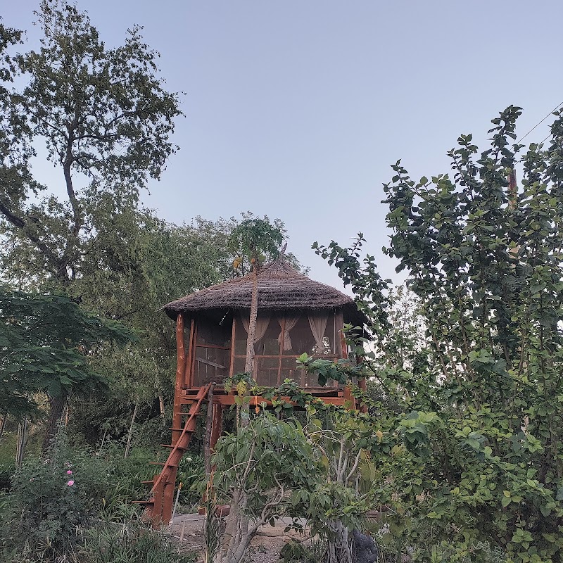 Satya Jyoti Farm - Satya Jyoti Farm village Laadpuri, Sare Khurd, Rajasthan 301707, India