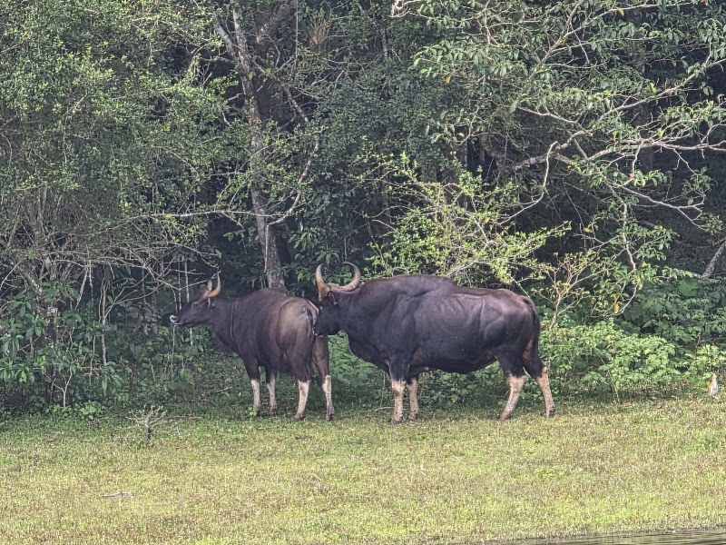 Munnar Routes Holidays - Munnar Routes Holidays near Hatc Stadium, Old, Moolakadai, Munnar, Kerala 685612, India